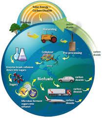 BIO-FUELS IN INTERNALCOMBUSTION ENGINES