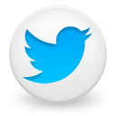 Twitter Social Icon